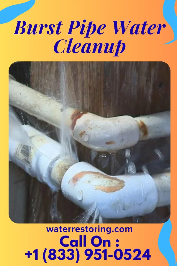 Burst Pipe Water Cleanup in Varnamtown, NC