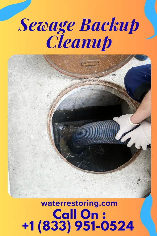 Sewage Backup Cleanup in Varnamtown, NC